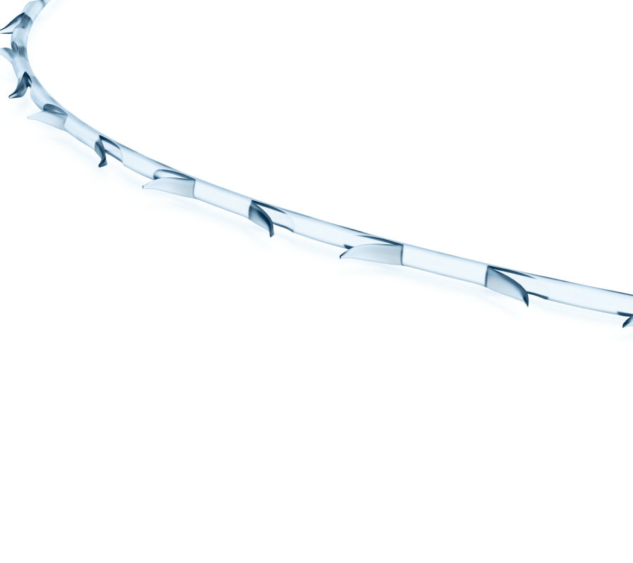 Excellence Visage (EV)